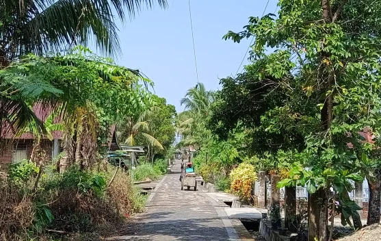 Wasapada 6 Penyakit Penyerta Cuaca Panas
