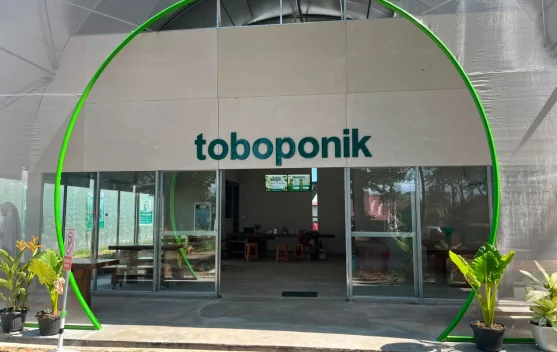 Wisata Toboponik Jenggalu Sajikan Pengalaman Edukasi Pertanian Modern