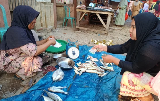 Gelombang Tinggi, Pasokan Ikan Laut Dipasar Bintuhan Berkurang Harga Melonjak