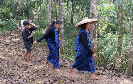 Wisata Apa Saja di Indonesia yang Dilarang? Kenali Aturannya