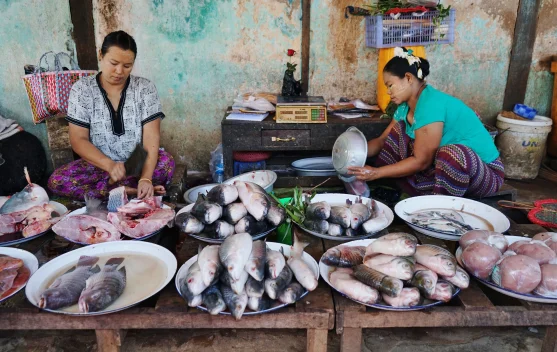 Cara Mudah Membersihkan Bau Amis di Tangan setelah Mengolah Ikan