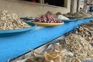 Solar Langka, Harga Ikan Asin di Pantai Malabero Naik