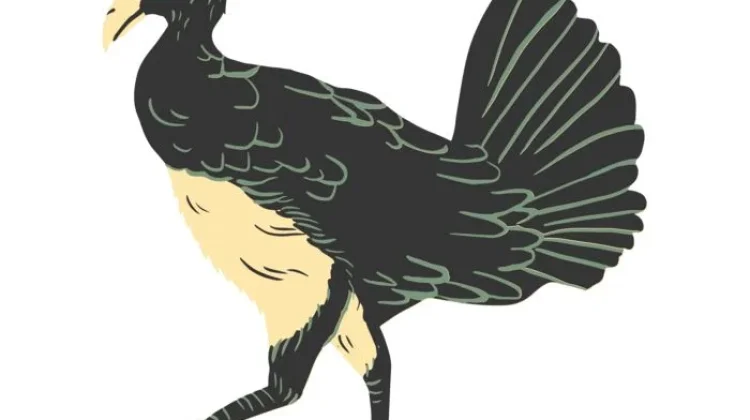 Burung Maleo Sulawesi,Spesies Terancam Punah