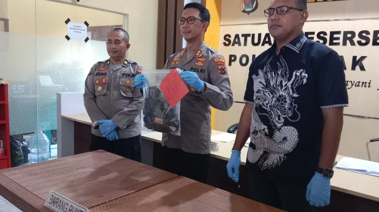 Polres Biak Amankan Pelaku Pengeroyokan Mengakibatkan Korban Tewas