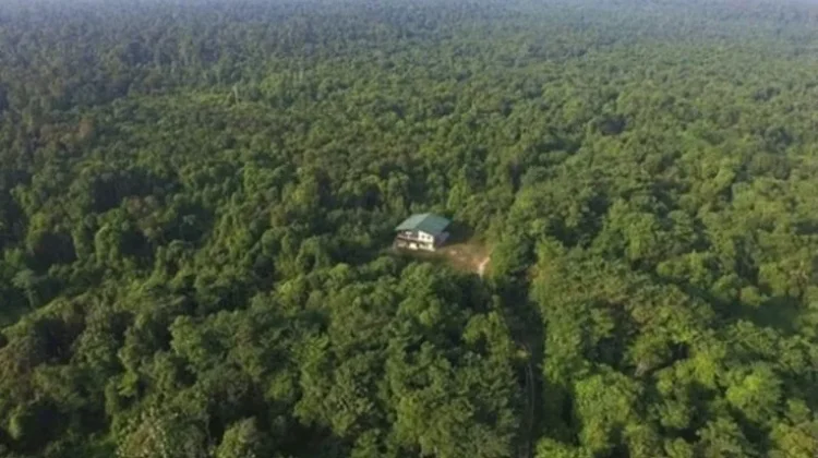 Taman Nasional Tesso Nilo