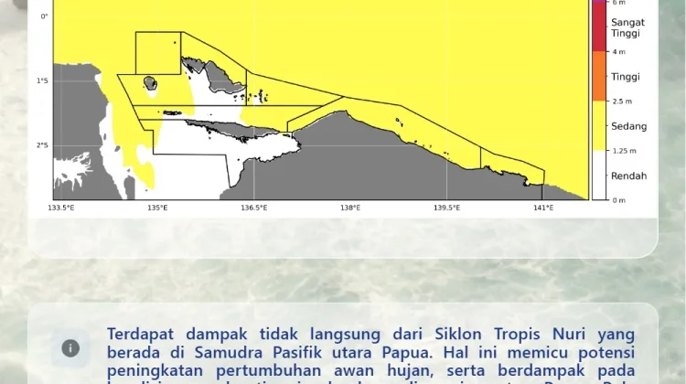 BMKG: Dampak Siklon Nuri Picu Gelombang hingga 2,5 Meter di Perairan Utara Papua