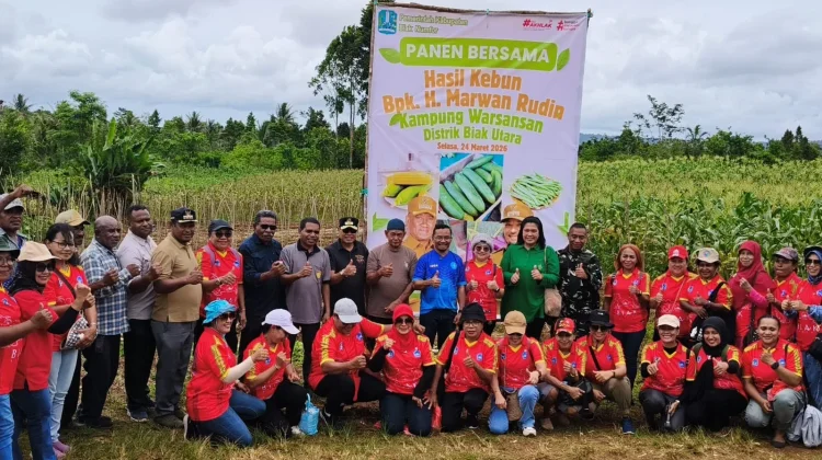Wabub Biak Panen Bersama Pastikan Ketahanan Pangan,Inflasi Aman