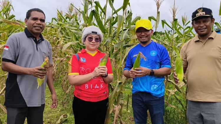 Ketua GOW Biak Numfor,  Ajak Para Ibu, Jaga Ketahanan Pangan