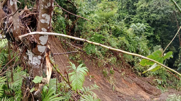 Cuaca Ekstrem, BPBD Supiori Imbau Warga Waspada