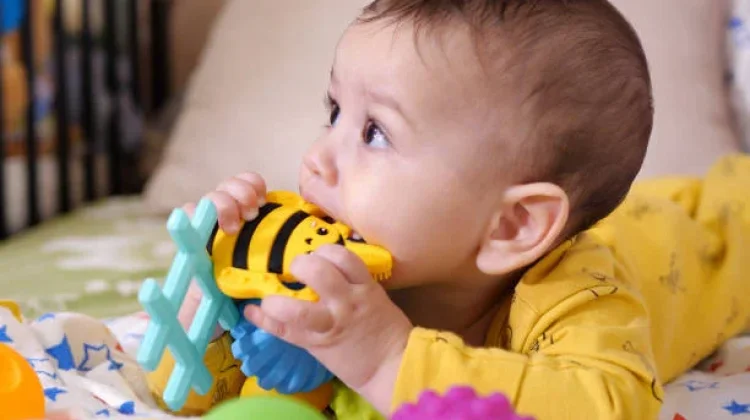 Hati-hati! Kebiasaan Gigit Mainan Bisa Berisiko pada Kesehatan Ginjal Anak