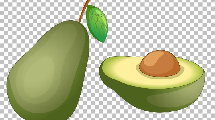 Kenapa Alpukat Disebut Superfood? Ini Fakta dan Manfaatnya