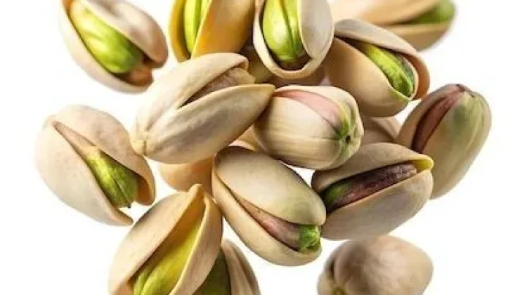 Sejarah Kacang Pistachio Dari Timur tengah ke Dunia