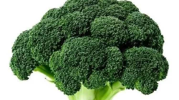 Makanan dan Minuman Sehat untuk Ginjal