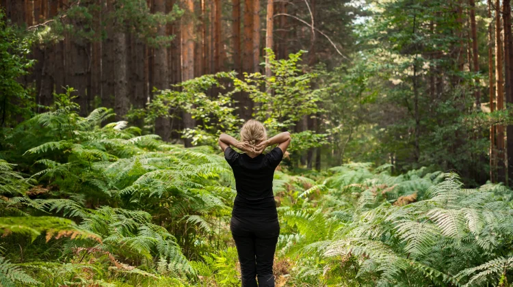 Mengenal Forest Bathing, Tahasia Relaksasi dari Alam Terbuka