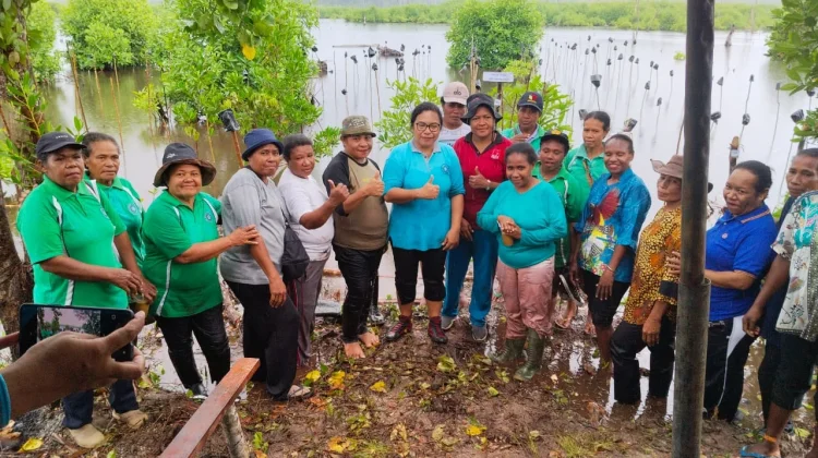 TP PKK Biak Numfor Tanam 240 Bibit Mangrove Sambut Hari Kartini
