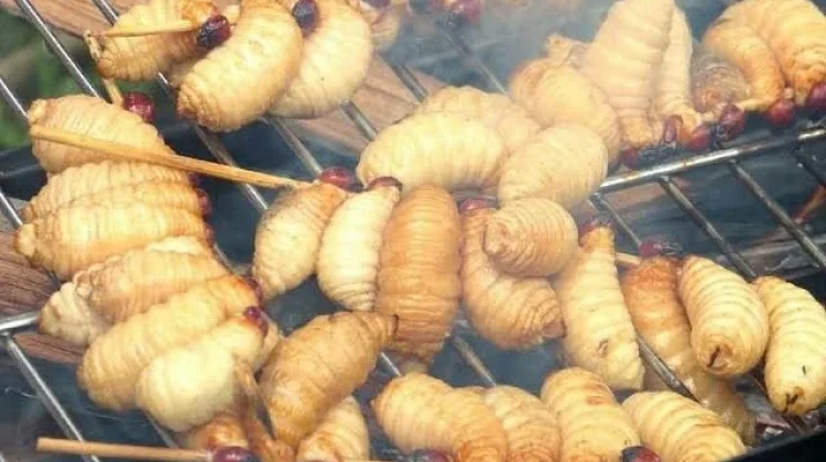8 Makanan Ekstrem di Kalimantan yang Masih Dikonsumsi