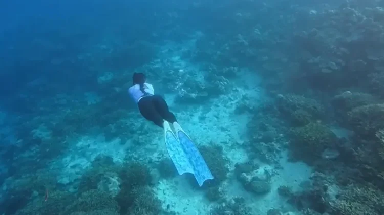 Semangat Penyelam Perempuan Satu Nafas, Melestarikan Keindahan Bawah Laut Biak