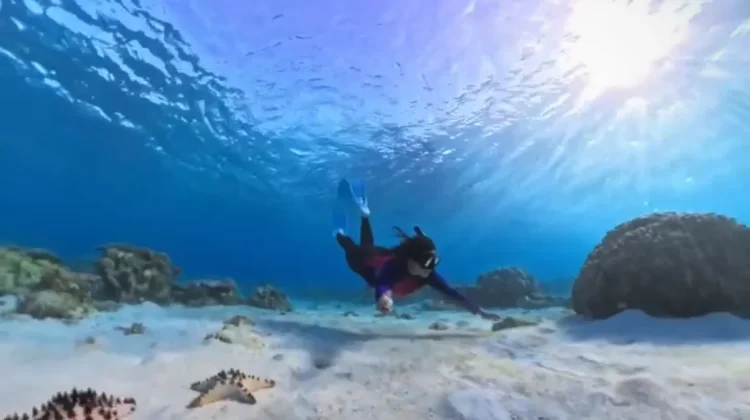 Semangat Penyelam Perempuan Satu Nafas, Melestarikan Keindahan Bawah Laut Biak