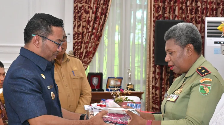 Wabup Biak Serahkan  Penghargaan  Kepada Kaum Perempuan Inspiratif.