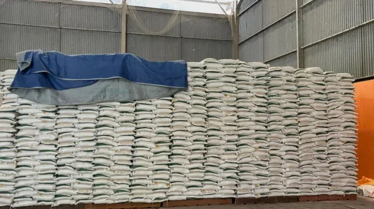 Bulog Pastikan Ketersediaan Pangan, Khususnya Stok Beras di Biak Numfor Aman
