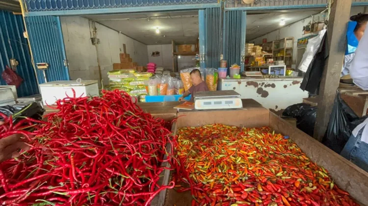 Per Senin 27 April 2026, Harga Cabai Rawit di Biak Capai Rp60Ribu perkilogram