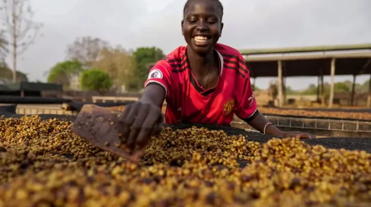 Jelajahi 193 Negara, Pria Ini Temukan Kopi Terenak di Sudan, Afrika Timur