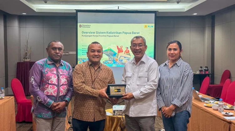 Sinergi PLN dan Komisi XII DPR RI: Akselerasi "Papua Terang"