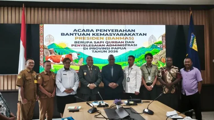 Sapi Banmas Presiden Tahun ini diserahkan ke Kabupaten Kota di Provinsi Papua