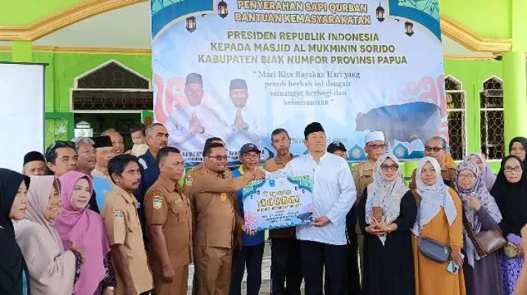 Sapi Kurban Presiden RI untuk Masjid Al Mukminin Sorido  Biak,Berbobot 900 Kg