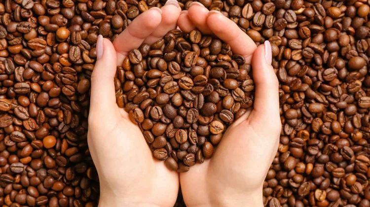 Rasa Nusantara Mendunia: 2 Kopi Indonesia Masuk Top 5 2026