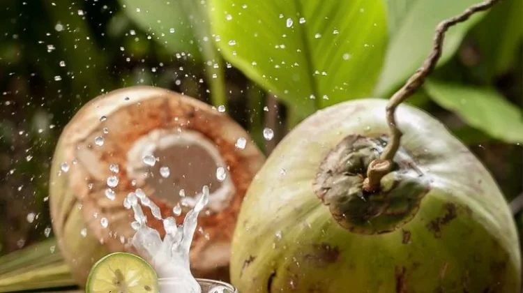 Minuman Sehat yang Baik Dikonsumsi Setiap Hari