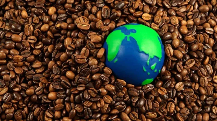 Terungkap! 5 Negara dengan Konsumsi Kopi Terbesar di Dunia