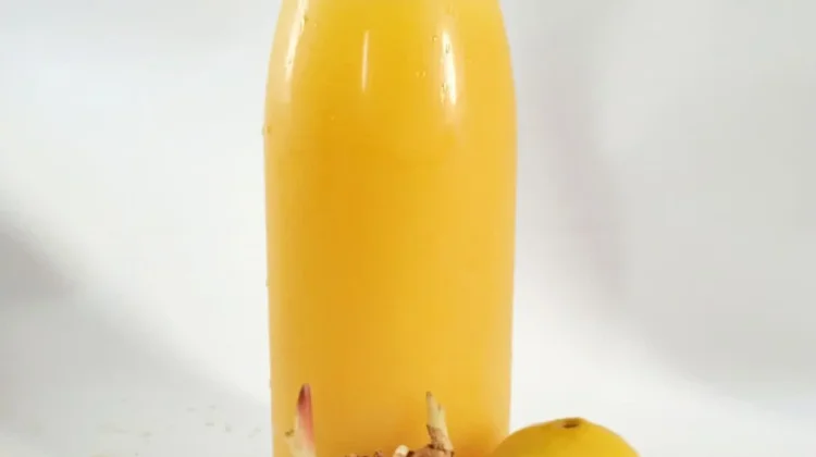 Beras Kencur, Jamu dengan Manfaat Energi hingga Antioksidan