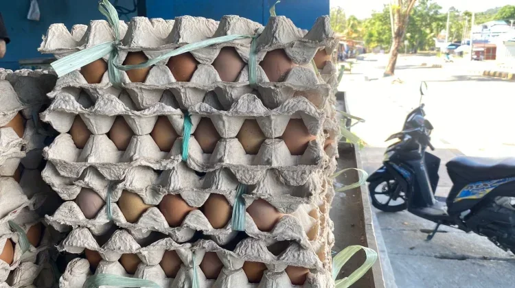 Kelangkaan Pasokan, Harga Telur Lokal di Biak Tembus Rp80 Ribu per Rak