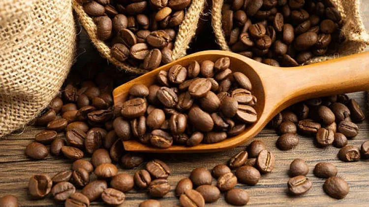 Bukan Sekadar Populer, Kopi Gayo Kini Masuk Daftar Kopi Terbaik Dunia 2026