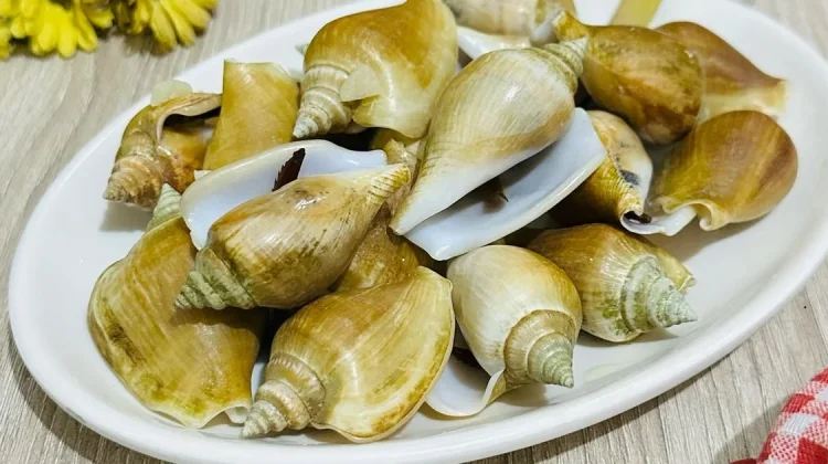 Menjelajahi Kuliner Nusantara Lewat Siput Gonggong Khas Bangka Belitung