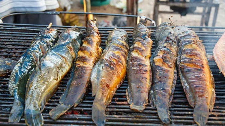Mengulik Mangut Lele, Kekayaan Kuliner Indonesia dari Yogyakarta