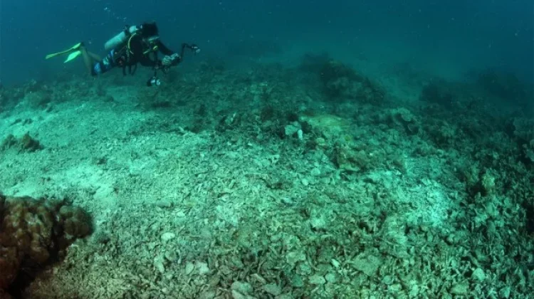 Bom Ikan di Laut RI Meledak Setiap 62 Menit Sekali