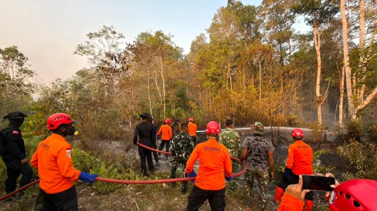Karhutla di Biak Numfor,SAR Siagakan Puluhan Personel
