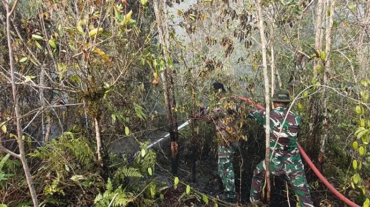 Ahli Sebut Perubahan Iklim Perparah Kebakaran Hutan