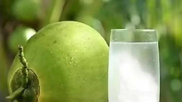 Segar Langsung dari Buah atau Kemasan, Mana yang Lebih Baik?