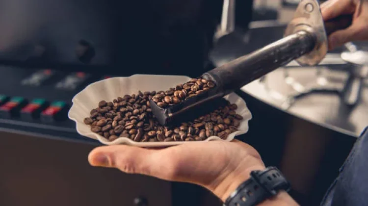 Bukan Sekadar Kopi, Ini Pesona Affogato yang Mendunia