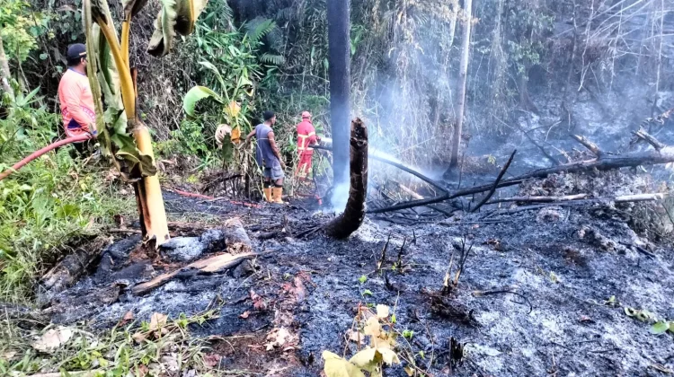 Kepala BPBD Supiori Sebut Ada Empat Lokasi Kebakaran akibat Pembukaan Lahan