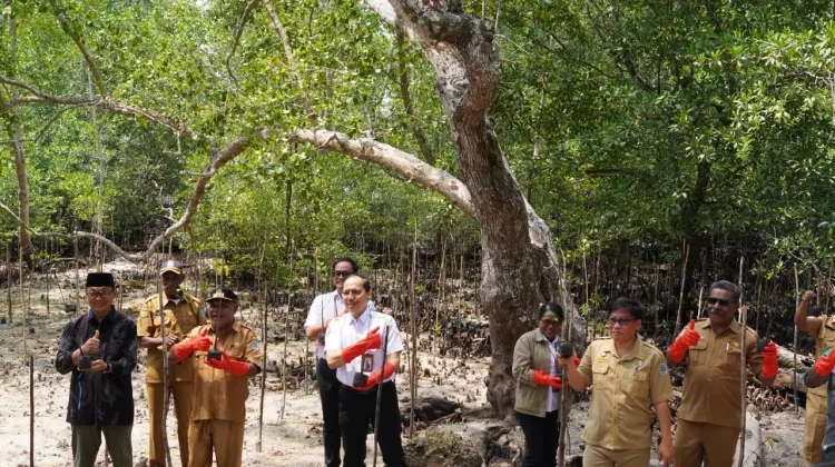 BPJS Kesehatan Dorong Pelestarian Pesisir lewat 1.100 Mangrove