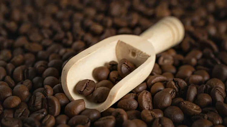Menjelajah Cita Rasa Kopi dari 4 Penjuru Dunia