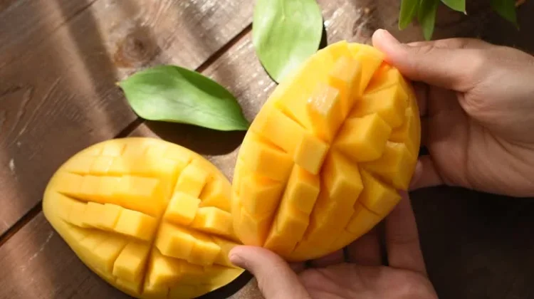 Bukan Cuma Manis, Ini Beragam Manfaat Mangga untuk Kesehatan Tubuh