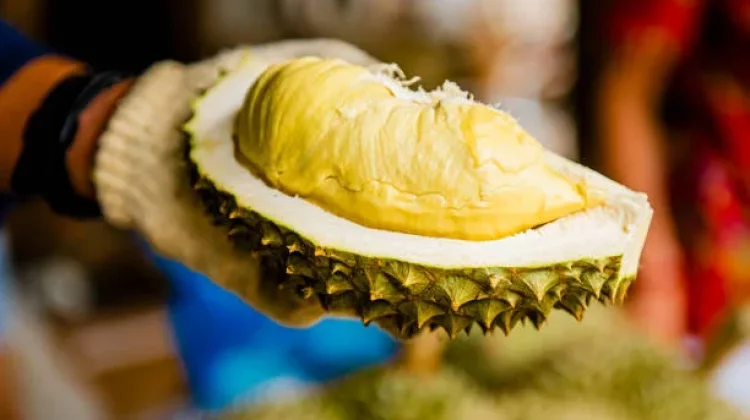 Biar Perut Tetap Nyaman, Hindari 5 Makanan dan Minuman Ini setelah Makan Durian