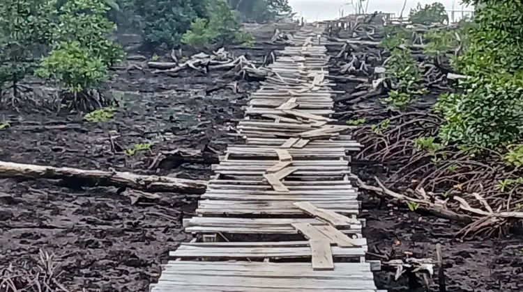 Jembatan Nelayan Davi Rusak, Warga Harap Dibangun Beton