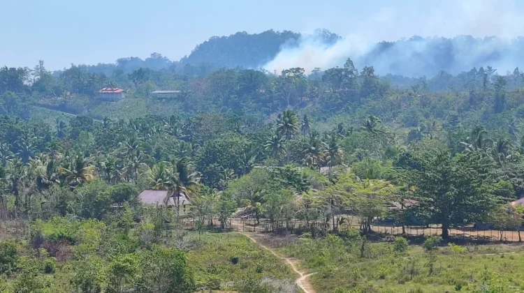 Kabut Asap Selimuti Biak, BPBD Imbau Gunakan Masker