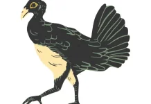 Burung Maleo Sulawesi,Spesies Terancam Punah